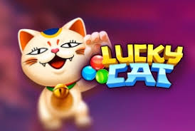 Funky : Lucky Cat - NOLIMITSLOT777